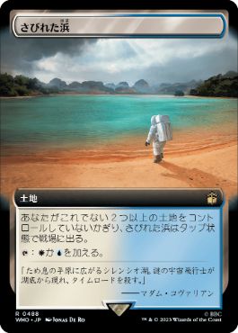 ■拡張アート■《さびれた浜/Deserted Beach》[WHO-BF] 土地R