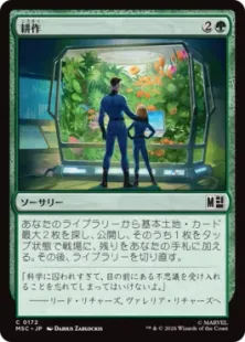 《耕作/Cultivate》[MSC] 緑C