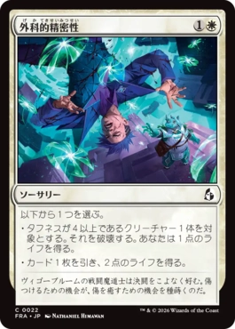 外科的精密性/Surgical Precision（日本語版）