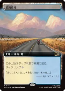 ■拡張アート■《灌漑農地/Irrigated Farmland》[MSC] 土地R