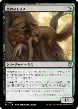 《貪欲なるリス/Ravenous Squirrel》[BLC] 金U