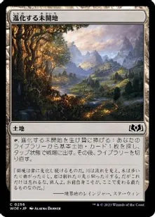 《進化する未開地/Evolving Wilds》[WOE] 土地C