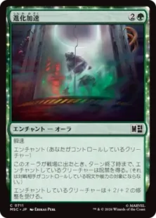 《進化加速/Accelerated Evolution》[MSC] 緑C