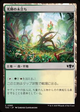 《光輝の木立ち/Radiant Grove》[TDC] 土地C