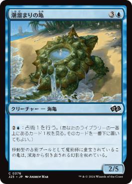 《潮溜まりの亀/Tidepool Turtle》[J25] 青C
