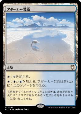 《アダーカー荒原/Adarkar Wastes》[BLC] 土地R