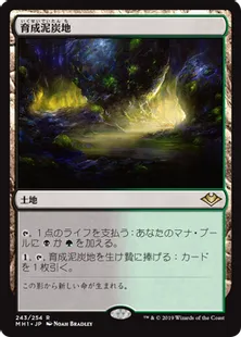 《育成泥炭地/Nurturing Peatland》[MH1] 土地R