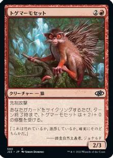《トゲマーモセット/Prickly Marmoset》[J22] 赤C