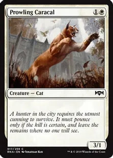 《うろつくカラカル/Prowling Caracal》[RNA] 白C