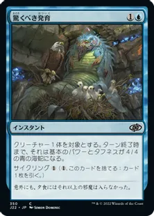 《驚くべき発育/Startling Development》[J22] 青C
