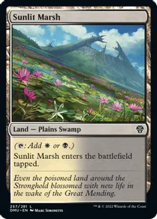 《日向の湿地/Sunlit Marsh》[DMU] 土地C