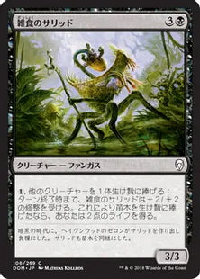 《雑食のサリッド/Thallid Omnivore》[DOM] 黒C