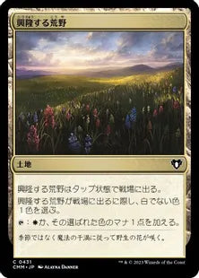 《興隆する荒野/Thriving Heath》[CMM] 土地C