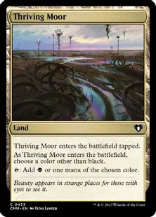 《興隆する湿地帯/Thriving Moor》[CMM] 土地C