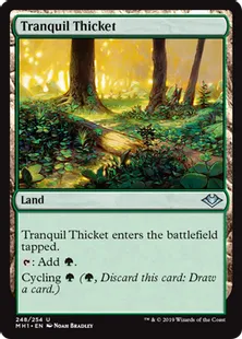 《平穏な茂み/Tranquil Thicket》[MH1] 土地U