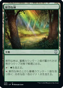 《鮮烈な林/Vivid Grove》[NCC] 土地U