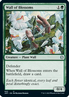 《花の壁/Wall of Blossoms》[JMP] 緑U