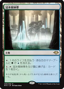 《冠水樹林帯/Waterlogged Grove》[MH1] 土地R