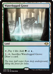 《冠水樹林帯/Waterlogged Grove》[MH1] 土地R