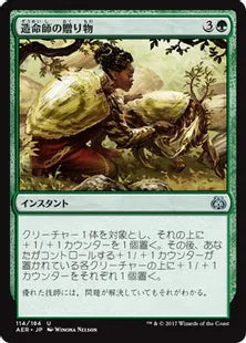 《造命師の贈り物/Lifecrafter's Gift》[AER] 緑U
