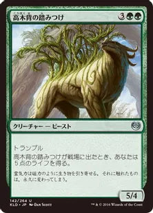 《高木背の踏みつけ/Arborback Stomper》[KLD]緑U