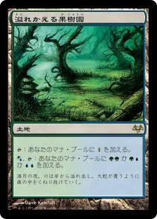 《溢れかえる果樹園/Flooded Grove》[EVE] 土地R
