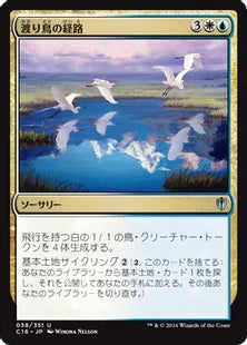 《渡り鳥の経路/Migratory Route》[C16] 金U