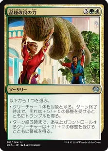 《品種改良の力/Engineered Might》[KLD]金U