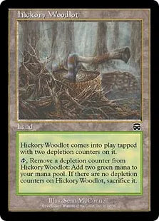 《ヒッコリーの植林地/Hickory Woodlot》[MMQ] 土地C