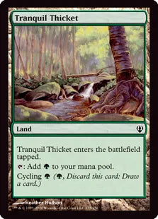 《平穏な茂み/Tranquil Thicket》[ARC] 土地C