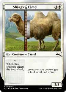 《Shaggy|Camel》[UST] 白C