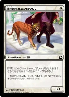 《訓練されたカラカル/Trained Caracal》[RTR] 白C