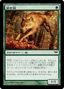 《若き狼/Young Wolf》[DKA] 緑C