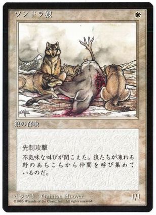 《ツンドラ狼/Tundra Wolves》[4ED] 白C