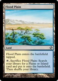 《氾濫原/Flood Plain》[VvK] 土地U