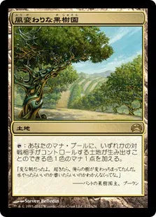 《風変わりな果樹園/Exotic Orchard》[PC2] 土地R