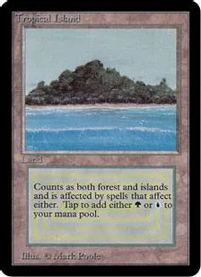《Tropical Island》[LEA] 土地R