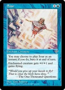 《飛翔/Soar》[MIR] 青C