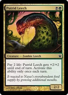 《朽ちゆくヒル/Putrid Leech》[IvG] 金C