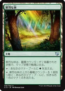 《鮮烈な林/Vivid Grove》[C15] 土地U