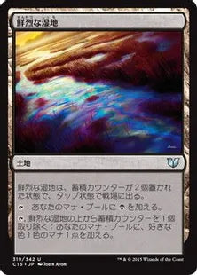 《鮮烈な湿地/Vivid Marsh》[C15] 土地U
