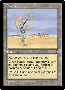 《乾燥高原/Karoo》[VIS] 土地U