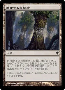 《進化する未開地/Evolving Wilds》[C13] 土地C