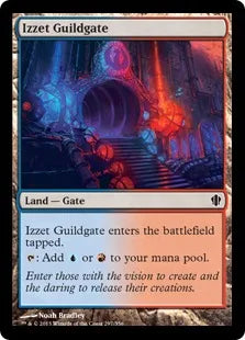 《イゼットのギルド門/Izzet Guildgate》[C13] 土地C