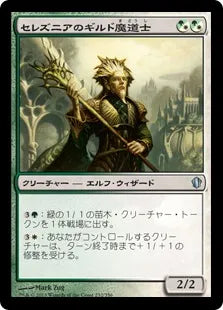 《セレズニアのギルド魔道士/Selesnya Guildmage》[C13] 混U