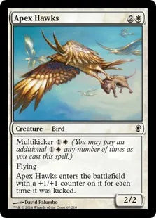 《天頂の鷹/Apex Hawks》[CNS] 白C