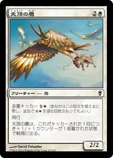 《天頂の鷹/Apex Hawks》[CNS] 白C