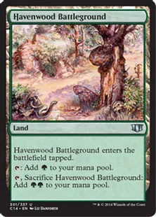 《ヘイヴンウッドの古戦場/Havenwood Battleground》[C14] 土地U