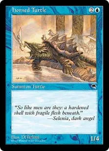 《角海亀/Horned Turtle》[TMP] 青C