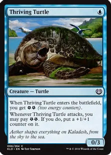 《亢進する亀/Thriving Turtle》[KLD]青C